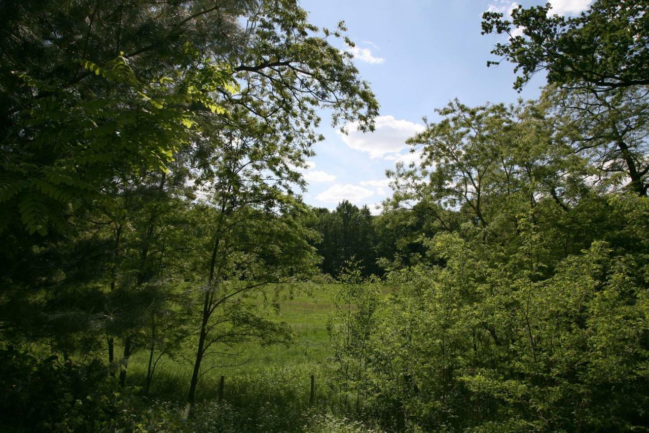 Landpension Germania Neuhausen  Kültér fotó